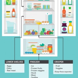 Refrigerator Maintenance – General Care & Tips